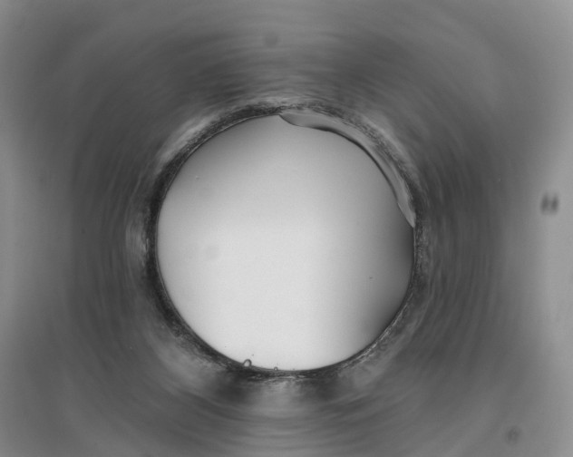 X0000096710116200802261638