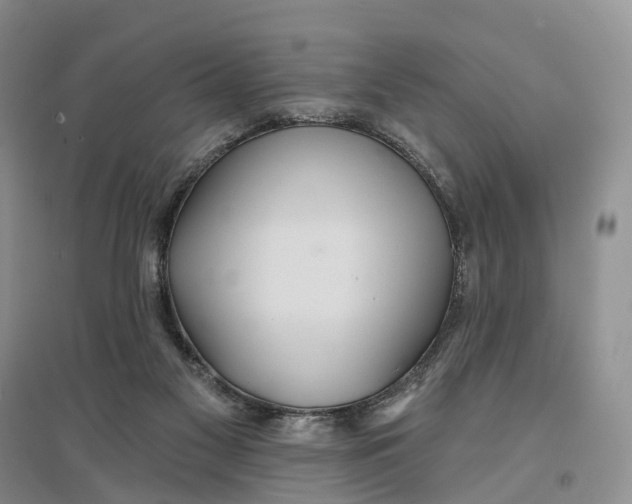 X0000096710117200802261638