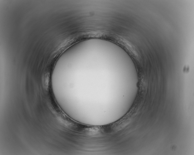 X0000096710118200802261638