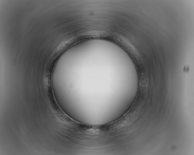 X0000096710119200802261638