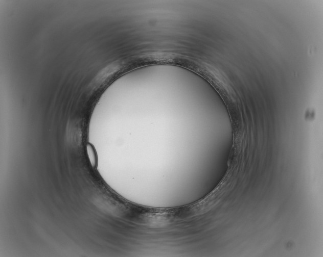 X0000096710120200802261638