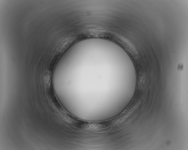 X0000096710121200802261638