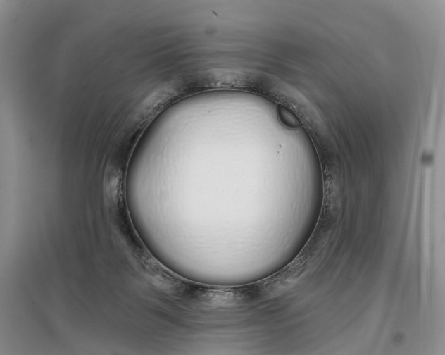 X0000096710123200802261638