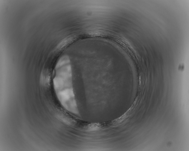 X0000096710124200802261638