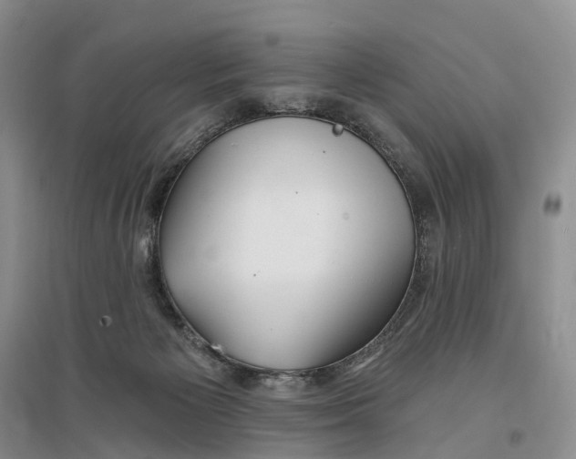 X0000096710125200802261638