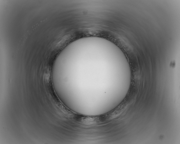 X0000096710129200802261638