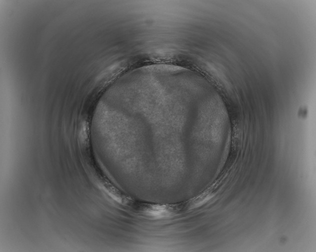 X0000096710130200802261638