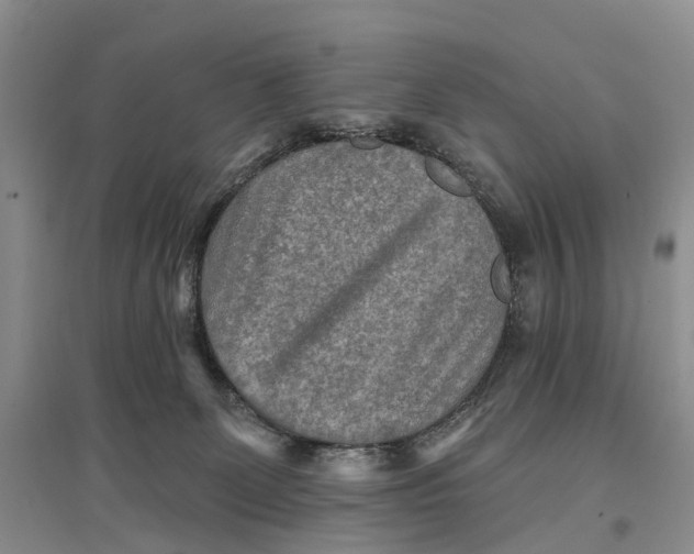 X0000096710131200802261638