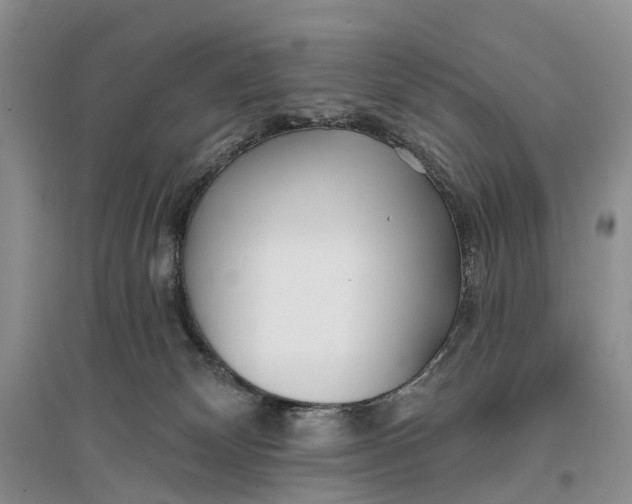 X0000096710132200802261638