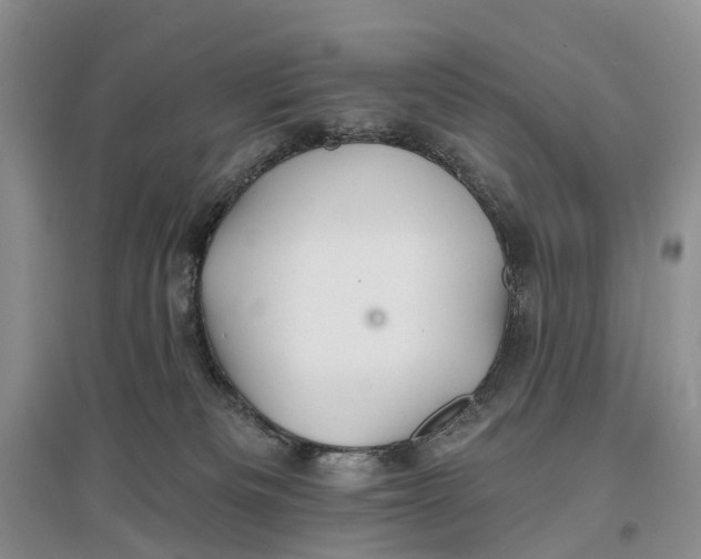 X0000096710133200802261638