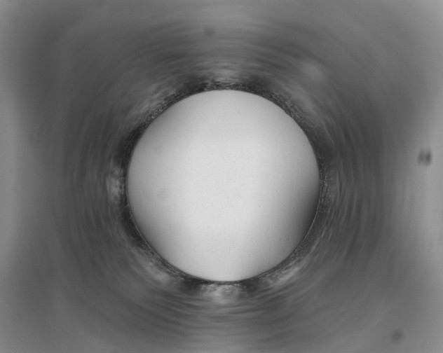 X0000096710135200802261638