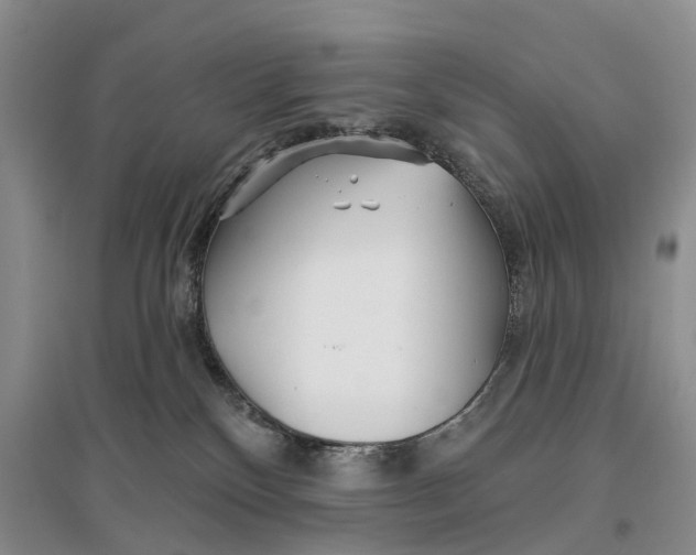 X0000096710136200802261638