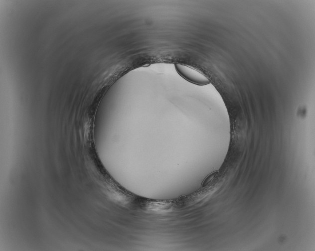 X0000096710139200802261638