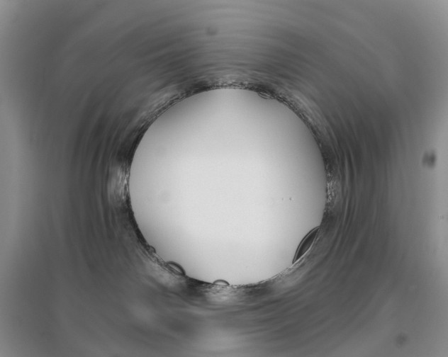 X0000096710142200802261638