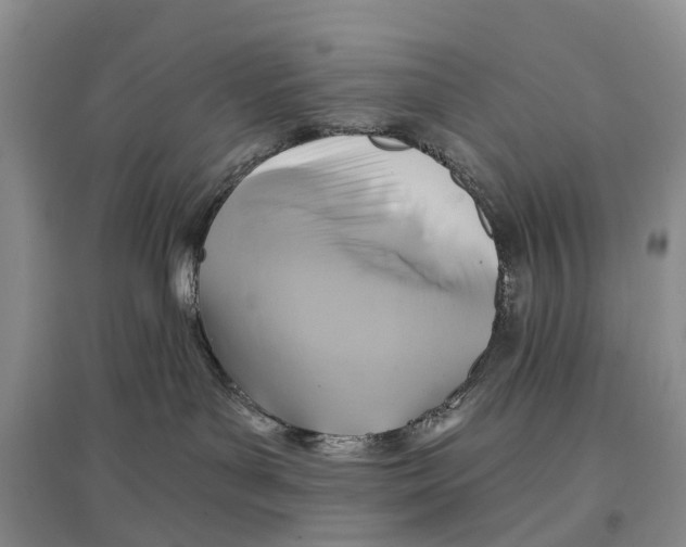 X0000096710143200802261638