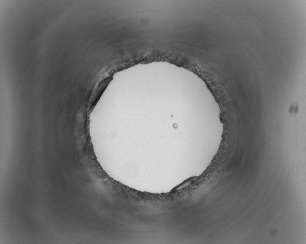 X0000096710144200802261638