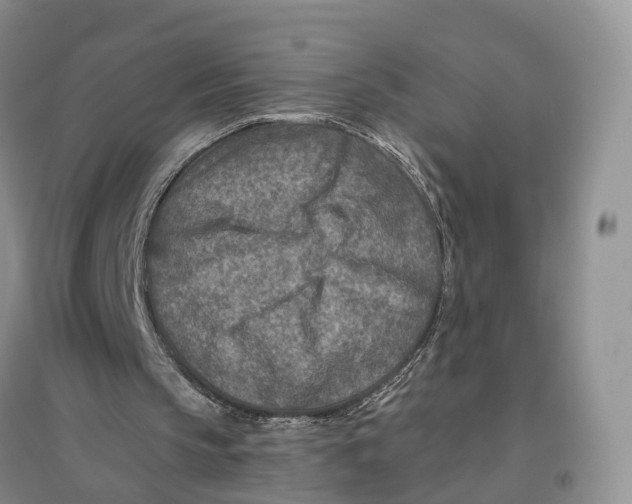 X0000096710145200802261637