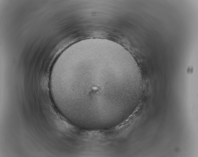 X0000096710146200802261637