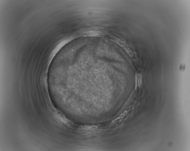 X0000096710147200802261637