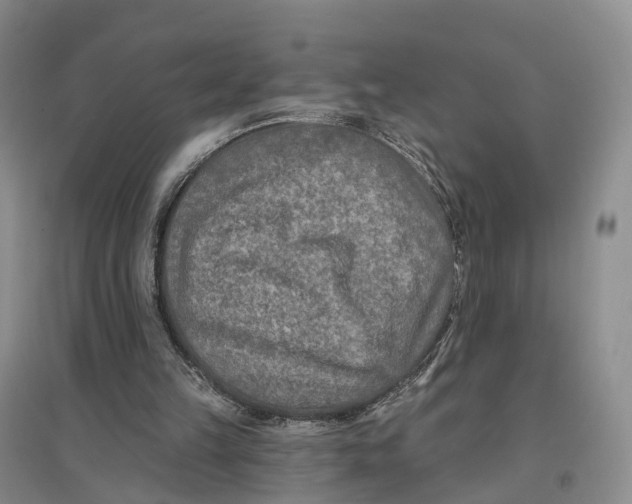 X0000096710149200802261637