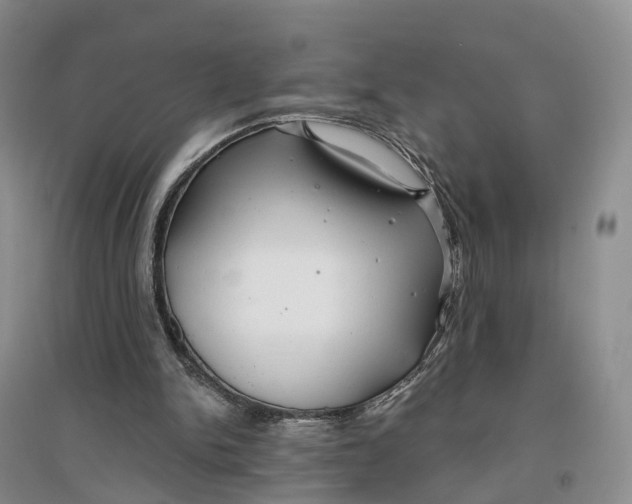 X0000096710150200802261637