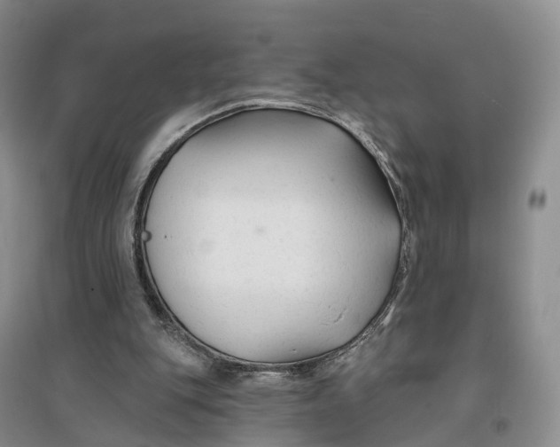 X0000096710151200802261637