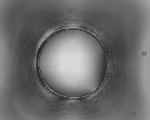 X0000096710152200802261637