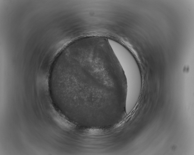 X0000096710154200802261637