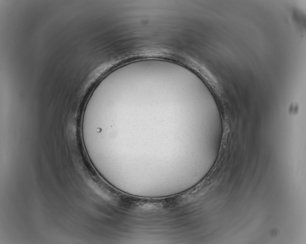 X0000096710155200802261637