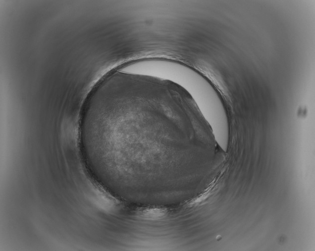 X0000096710156200802261637