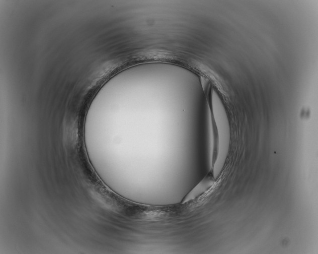 X0000096710158200802261637