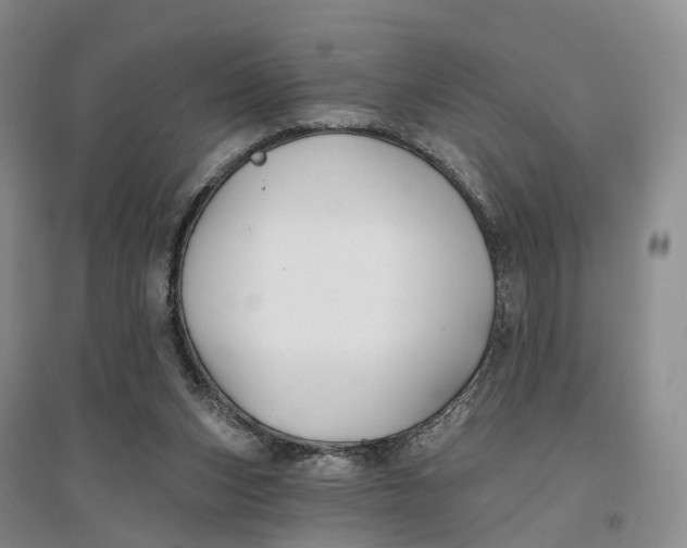 X0000096710159200802261637