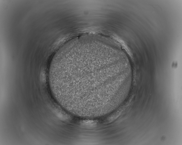 X0000096710161200802261638