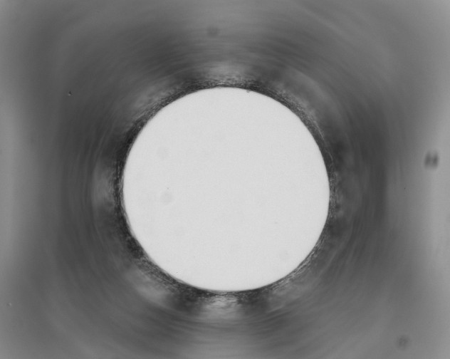 X0000096710162200802261638