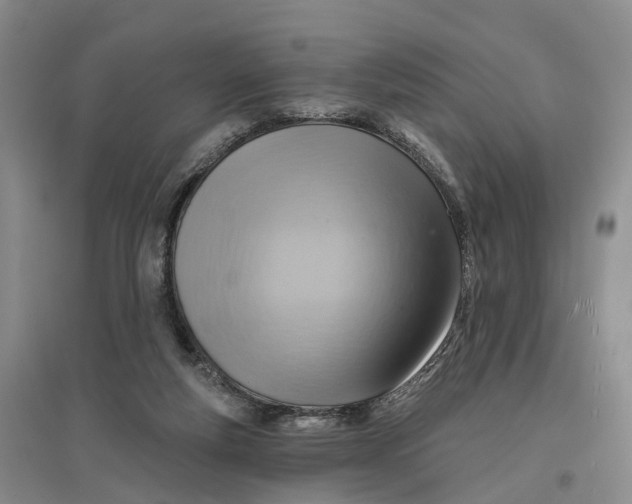 X0000096710163200802261638