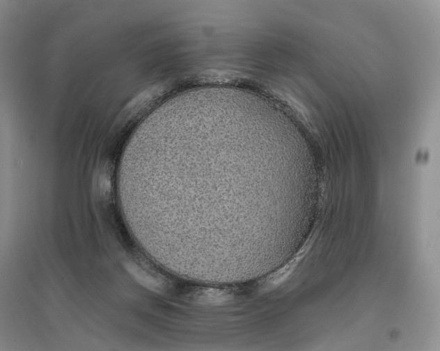 X0000096710166200802261638