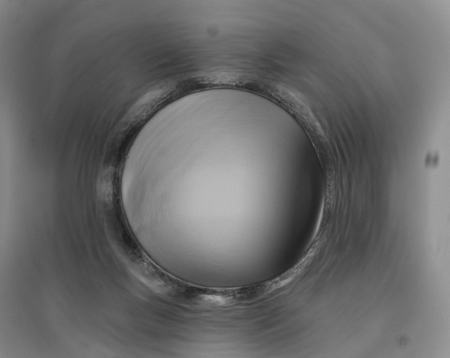 X0000096710167200802261638