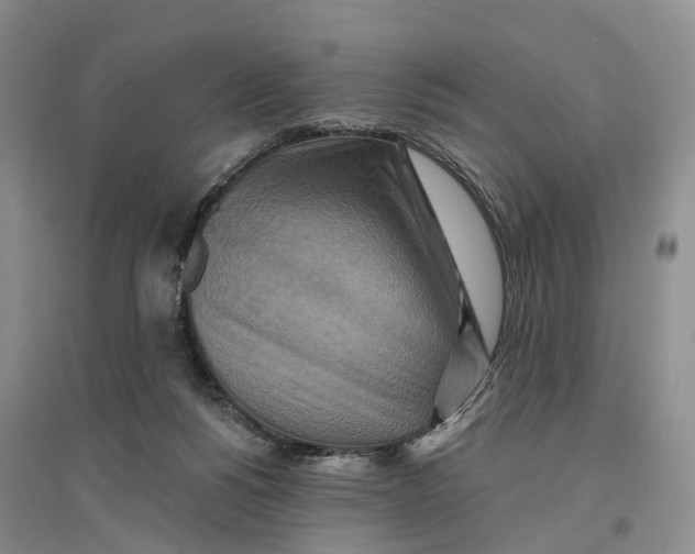 X0000096710168200802261638