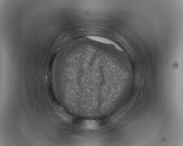 X0000096710169200802261638