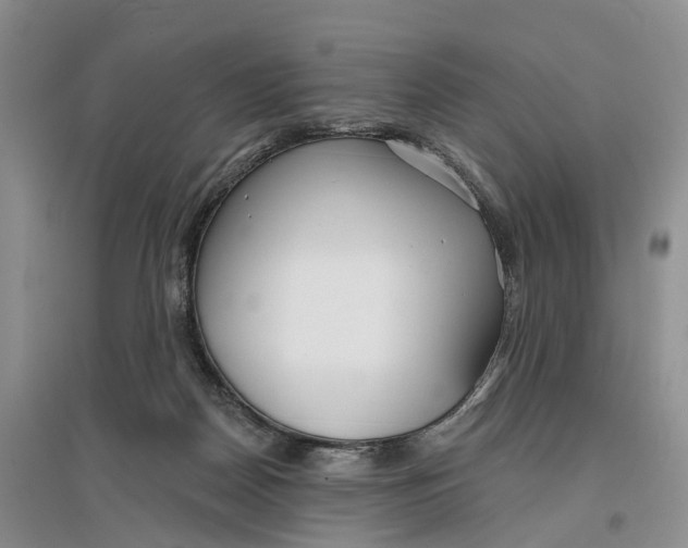 X0000096710170200802261638