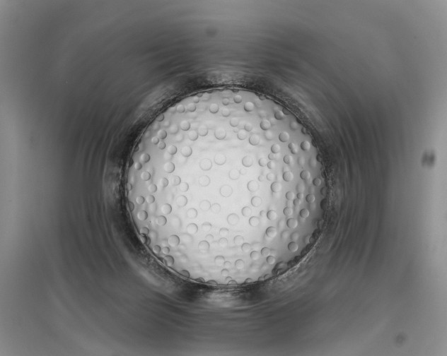 X0000096710171200802261638