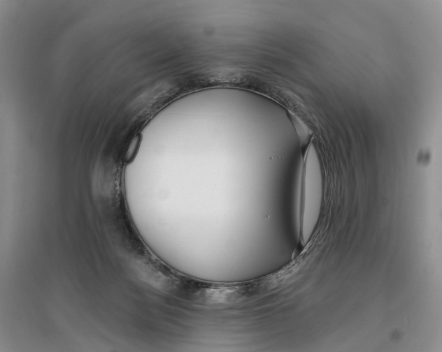 X0000096710172200802261638