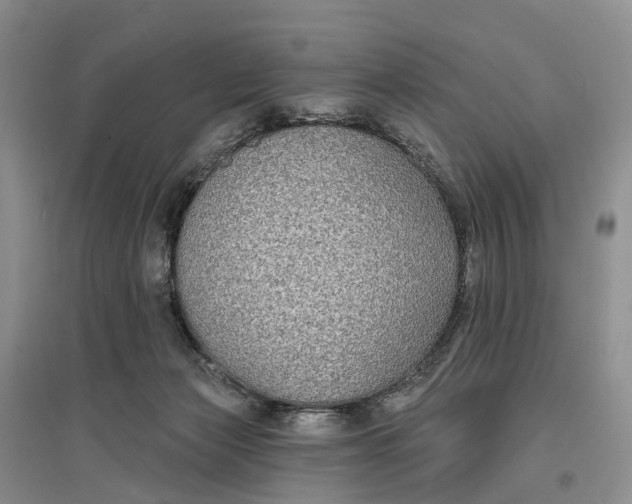 X0000096710173200802261638