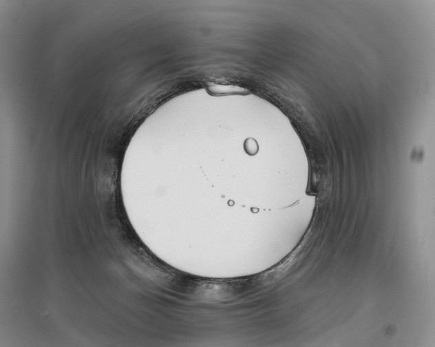 X0000096710174200802261638