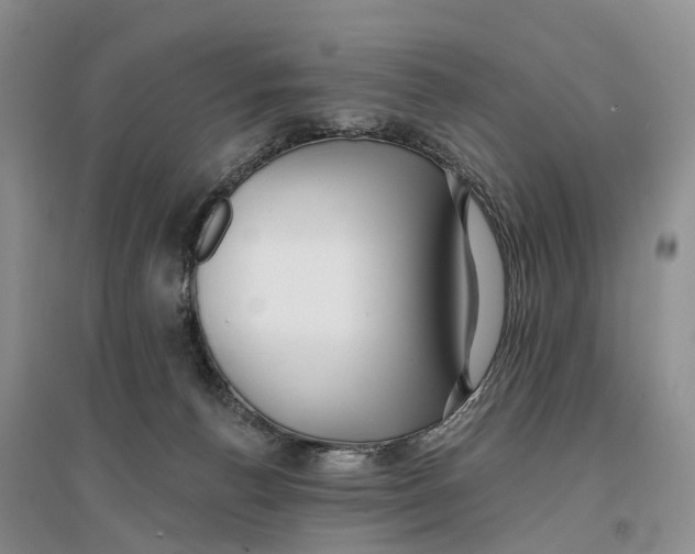 X0000096710176200802261638