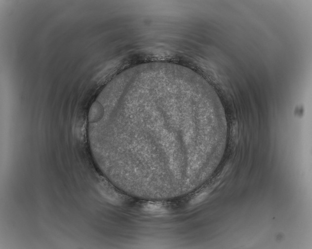 X0000096710177200802261638