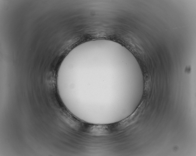 X0000096710179200802261638