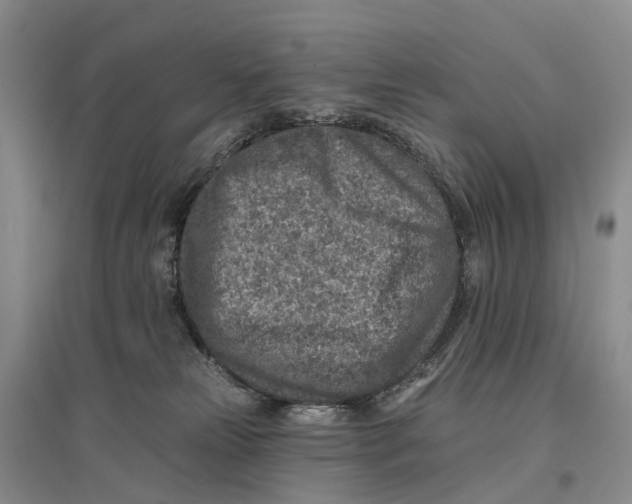 X0000096710181200802261638