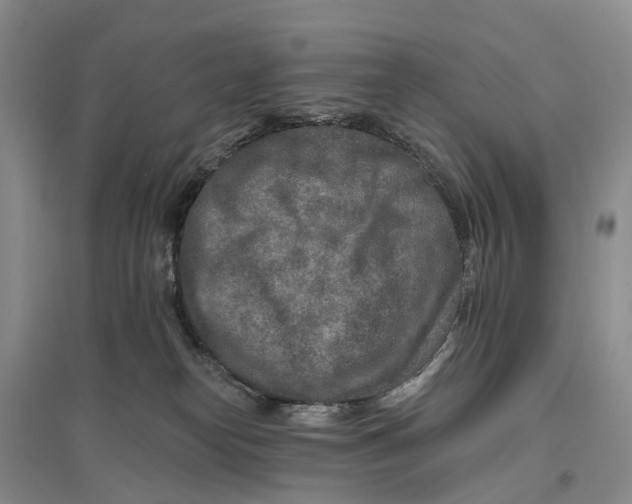 X0000096710182200802261638