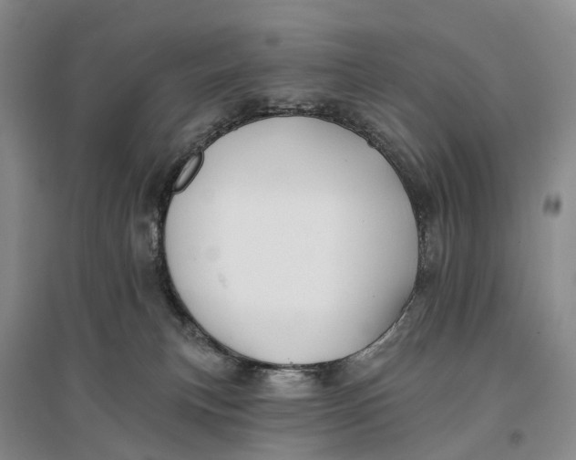 X0000096710183200802261638